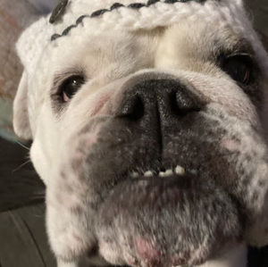 Meet your Posher, Christine